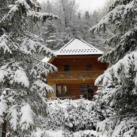 Forest House- Dom Nad Gorskim Potokiem *