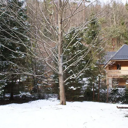 Forest House- Dom Nad Gorskim Potokiem Chalet