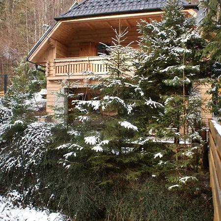 Forest House- Dom Nad Gorskim Potokiem Chalet *
