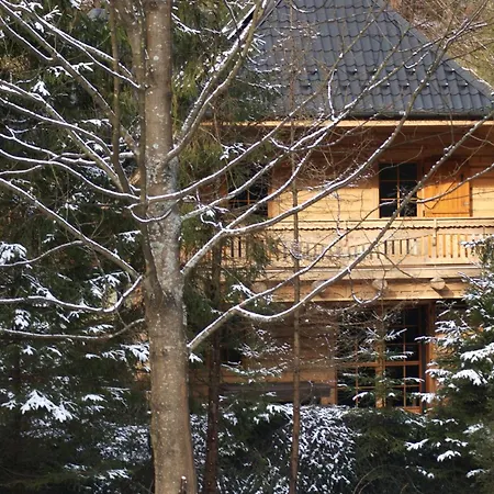 Forest House- Dom Nad Gorskim Potokiem 木屋 Juszczyn