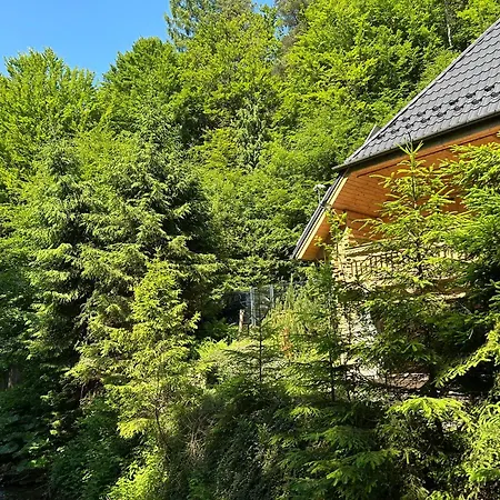 Forest House- Dom Nad Gorskim Potokiem Juszczyn