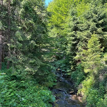 Chalet Forest House- Dom Nad Gorskim Potokiem Juszczyn