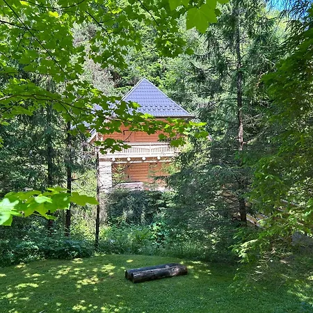 Chalet Forest House- Dom Nad Gorskim Potokiem *