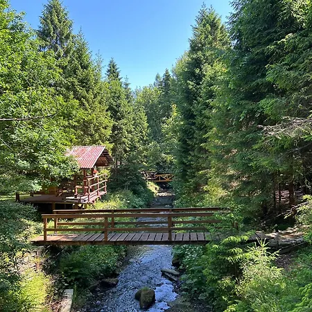 木屋 Forest House- Dom Nad Gorskim Potokiem Juszczyn