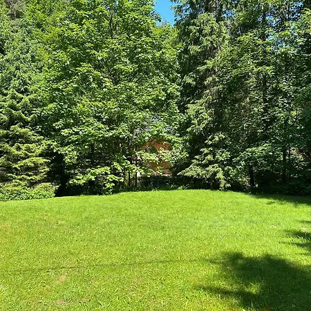 Forest House- Dom Nad Gorskim Potokiem