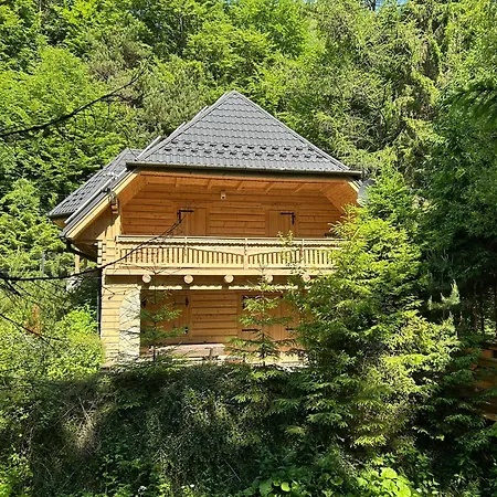 Chalet Forest House- Dom Nad Gorskim Potokiem
