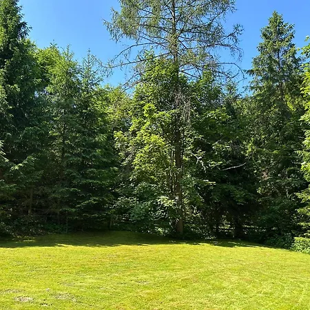 Forest House- Dom Nad Gorskim Potokiem *