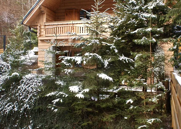 Forest House- Dom Nad Gorskim Potokiem Chalet *