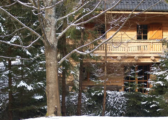 Chalet Forest House- Dom Nad Gorskim Potokiem *