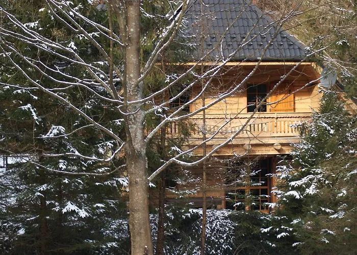 Forest House- Dom Nad Gorskim Potokiem Chalet Juszczyn