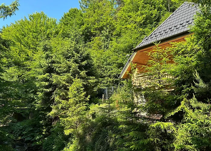 Forest House- Dom Nad Gorskim Potokiem Juszczyn